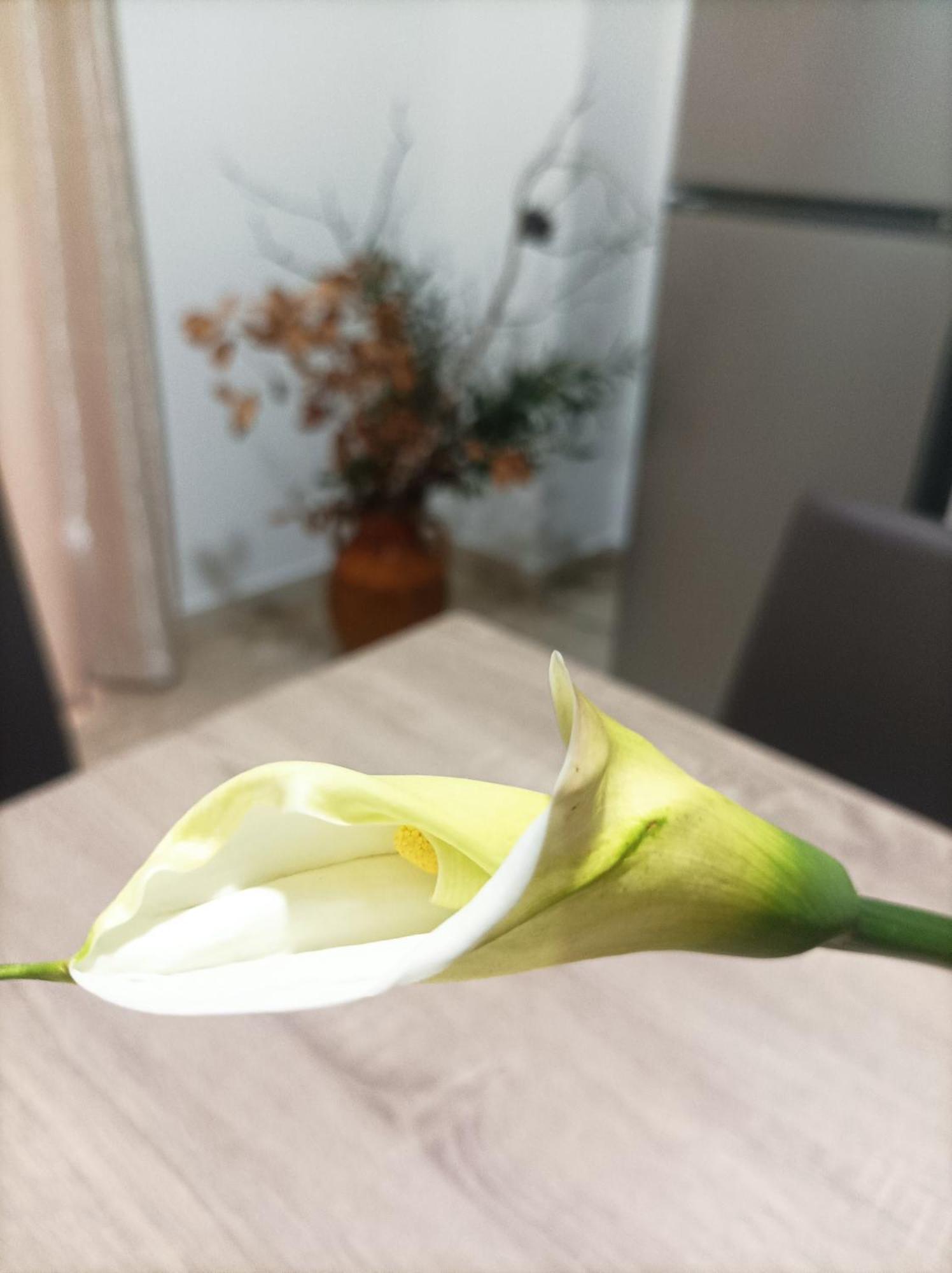 L'Ulivo Daire Massafra Dış mekan fotoğraf